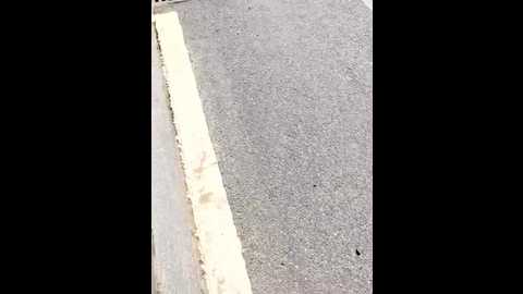 shaoshao_7758 @ stripchat on 20250913