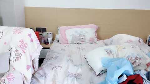 yuanbao_a @ stripchat on 20250913