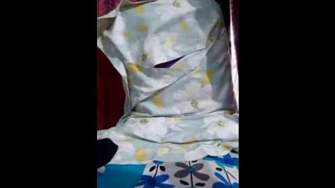 palak_233 @ stripchat on 20250914