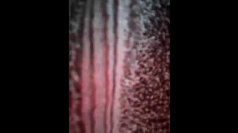 ashley_tompson1 @ stripchat on 20250916