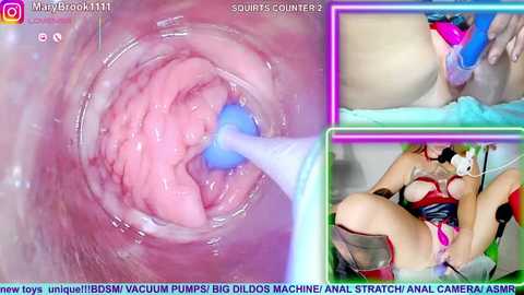 marybrook1 @ stripchat on 20250916