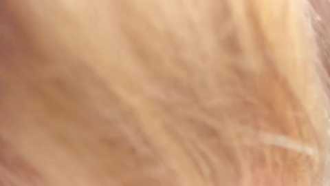 teencute @ stripchat on 20250916