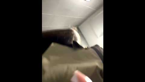 velvetvixeni @ stripchat on 20250916