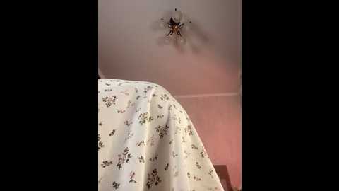 curvywoman_ @ stripchat on 20250917