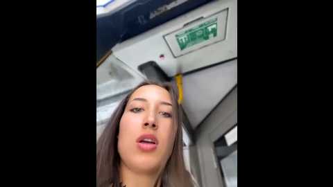 velvetvixeni @ stripchat on 20250917