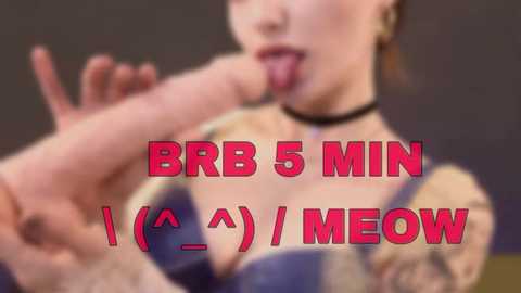 nutsy_kitty @ stripchat on 20250918