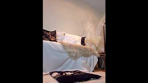 aureliadoux @ stripchat on 20250919