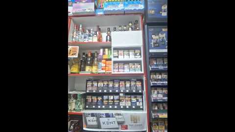 fluturas2 @ stripchat on 20250919