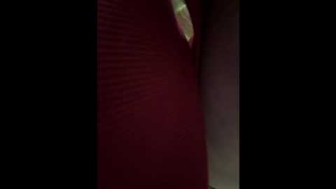 pumashyxd @ stripchat on 20250919