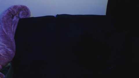 __leyla__ @ stripchat on 20250920