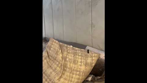 maisiemae @ stripchat on 20250920