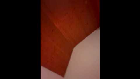 secret_sara @ stripchat on 20250920