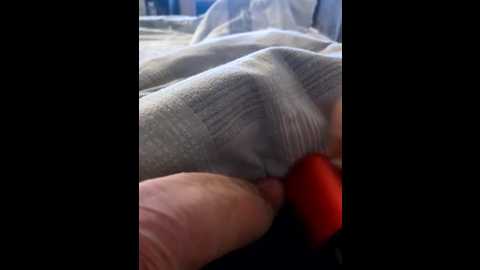 bella4580b @ stripchat on 20250921