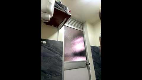 roouse @ stripchat on 20250921