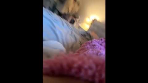 blissdimicco @ stripchat on 20250922