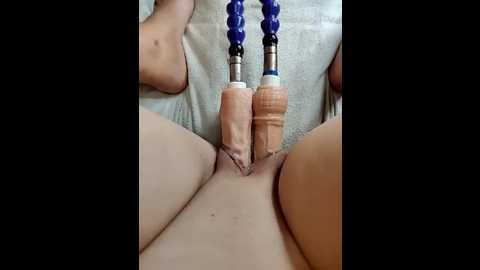 lola_hale @ stripchat on 20250922