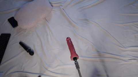 makoto_mai @ stripchat on 20250922