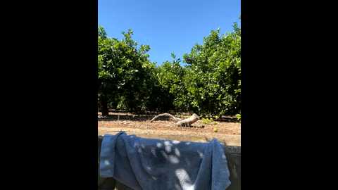 petrouchkaaa_ @ stripchat on 20250922