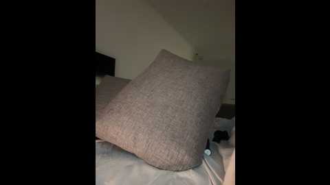 camyblossom @ stripchat on 20250923