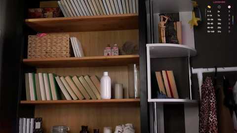 darylbarks @ stripchat on 20250923