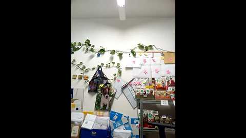 terezavelvet @ stripchat on 20250923