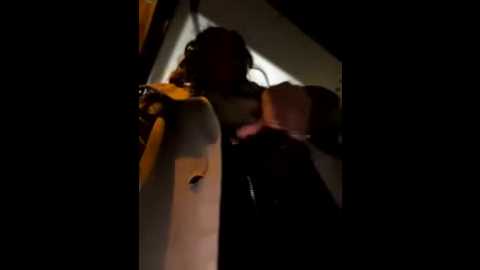 velvetvixeni @ stripchat on 20250923