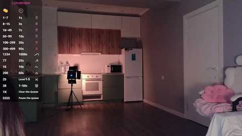 ella_lee15 @ stripchat on 20250924