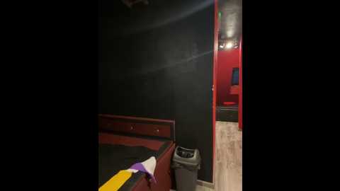 etwas_neugierig @ stripchat on 20250924