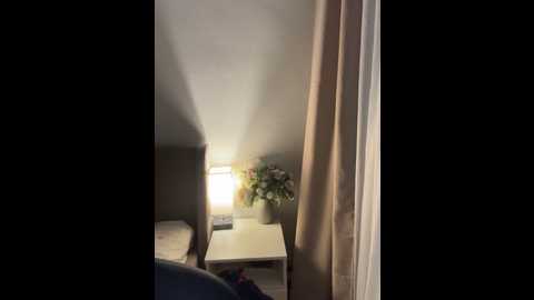 linaviam @ stripchat on 20250924