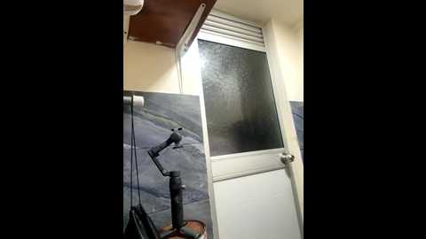 roouse @ stripchat on 20250924