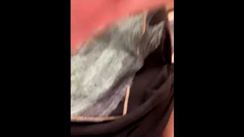 farida06 @ stripchat on 20250925