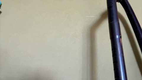 maritapescador @ stripchat on 20250926