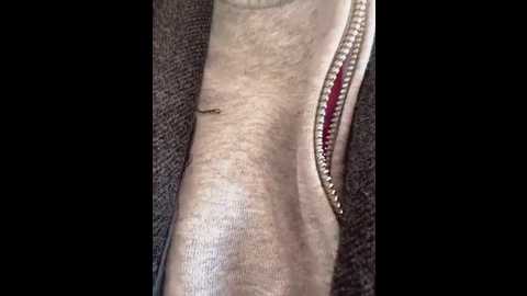 ballerinacappuccino_ @ stripchat on 20250927