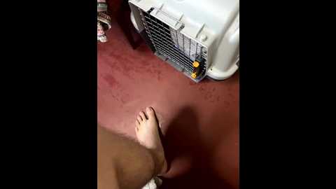 ketadeksa @ stripchat on 20250927