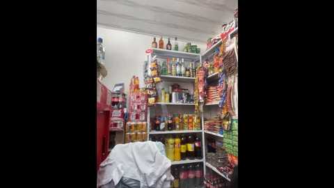 sara_fun @ stripchat on 20250927