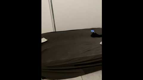 disturbia_land @ stripchat on 20250928