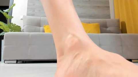 irenehabibi @ stripchat on 20250928