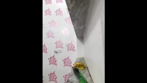 sassyishhu76 @ stripchat on 20250928