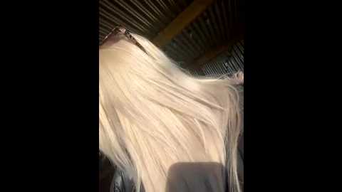 bustyblondebabe32 @ stripchat on 20250929