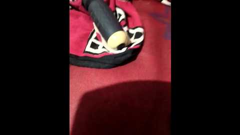 nidhi_telugu @ stripchat on 20250929