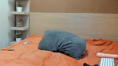 pinkytwerkyx @ stripchat on 20250929