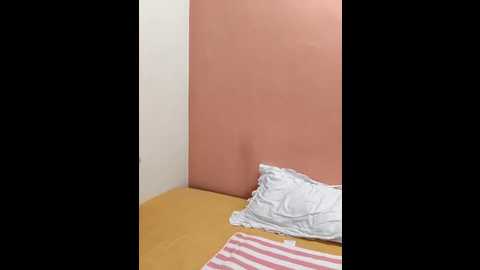 shalu_g @ stripchat on 20250929