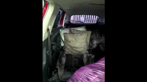 alimela @ stripchat on 20250930