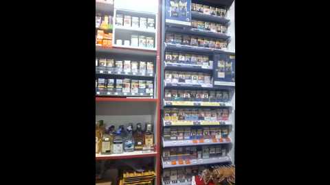 fluturas2 @ stripchat on 20250930