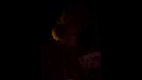 camyblossom @ stripchat on 20251001