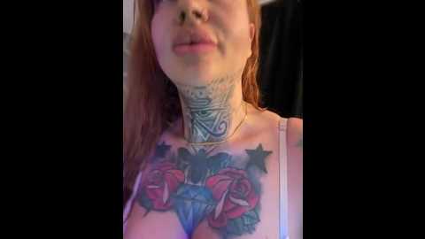 krysstal003 @ stripchat on 20251001