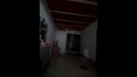 lalilamassu1 @ stripchat on 20251001