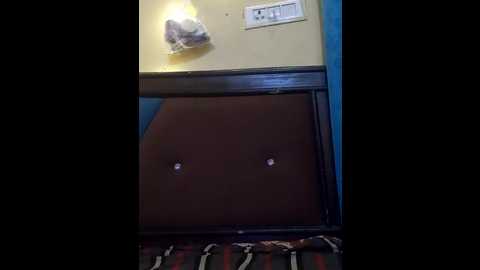 mansi01 @ stripchat on 20251001