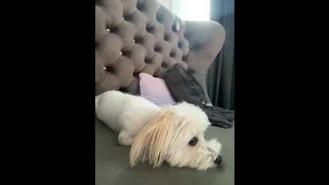 nattysx @ stripchat on 20251001