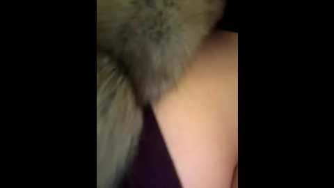 syka0001 @ stripchat on 20251001